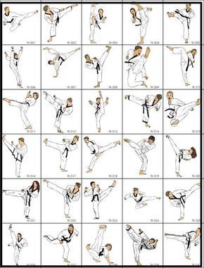 Martial arts technique diagrams